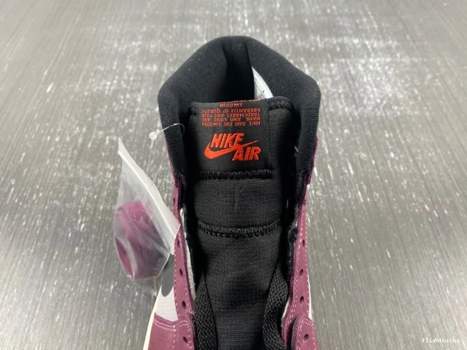 Jordan Gore-Tex Element 1 Air DB2889-500 0802